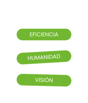itinerario liderazgo ia