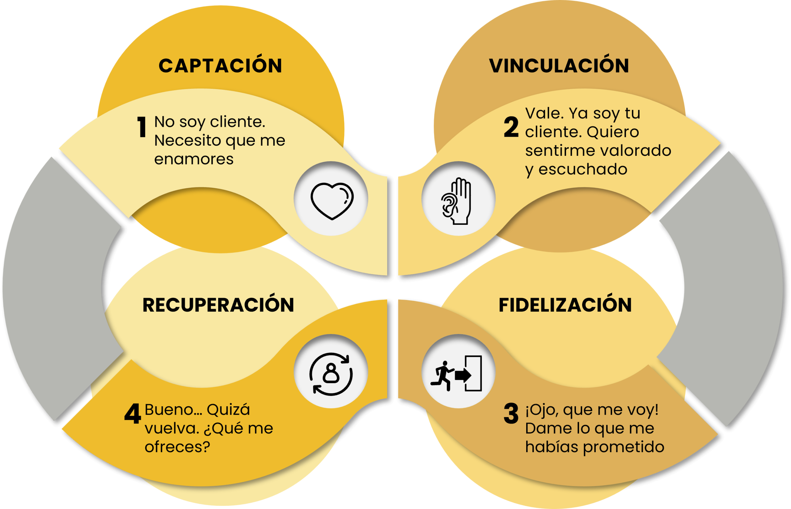 ciclo de vida del cliente clicc